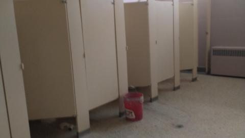 st.bernadette photo 3