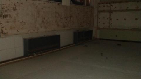 st.bernadette photo 4