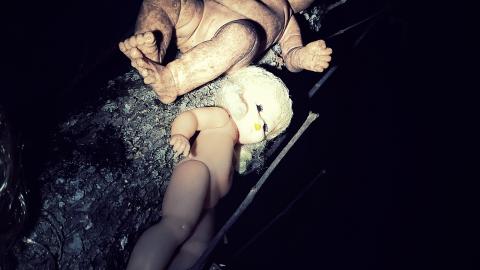 The Dolls - Fall Night-time Edition - aviary-image-1636121060122.jpeg