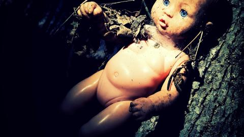 The Dolls - Fall Night-time Edition - aviary-image-1636119127305.jpeg