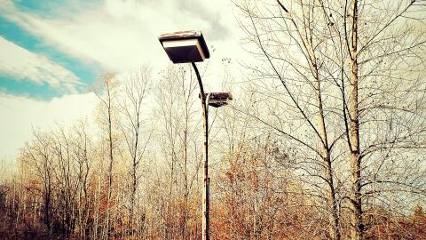 Majors Auto Sales & Repairs photo 2