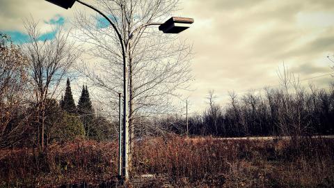 Majors Auto Sales & Repairs photo 5