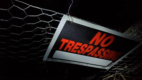 The Dolls - Fall Night-time Edition - 20211103_184118.jpg