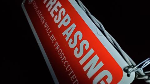 The Dolls - Fall Night-time Edition - 20211103_183959.jpg