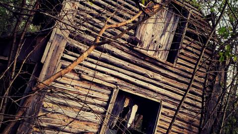 Photo from The Wooden House in The Woods