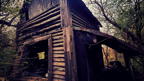 Photo from The Wooden House in The Woods