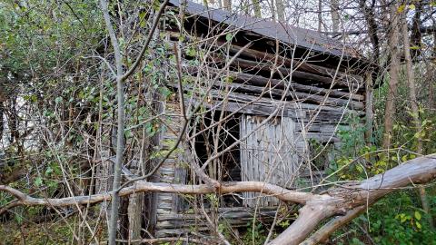 The Wooden House in The Woods - 20211106_174233.jpg