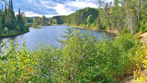 Photo from Project No. 145 Madawaska Relief Camp and Landing Field
