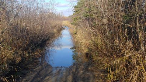 Burwash Prison November 2021 - 20211107_141812_HDR.jpg