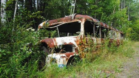 Almost Into The Wild - August 2013 - DSC_0204.jpg