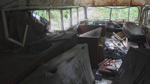 Photo from Almost Into The Wild - August 2013