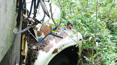 Photo from Almost Into The Wild - August 2013