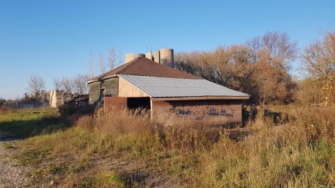 That Pink Fuzzy Feeling - 2.jpg