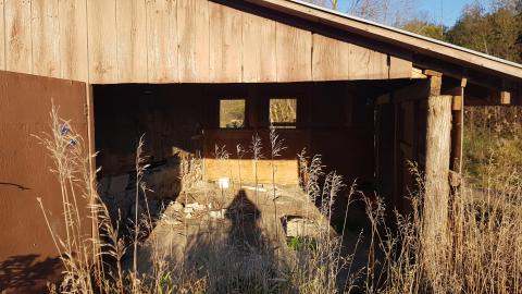 That Pink Fuzzy Feeling - 3.jpg