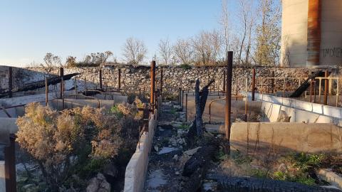 That Pink Fuzzy Feeling - 7.jpg