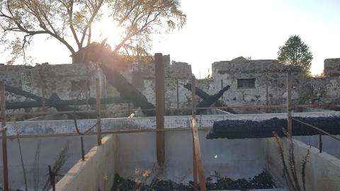 That Pink Fuzzy Feeling - 8.jpg