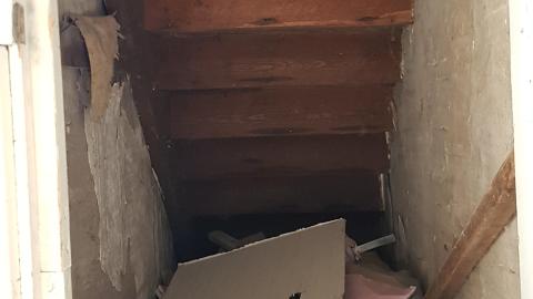 That Pink Fuzzy Feeling - 30.jpg