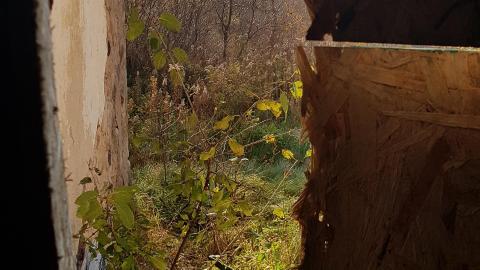 That Pink Fuzzy Feeling - 36.jpg