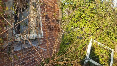 That Pink Fuzzy Feeling - 48.jpg