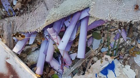 That Pink Fuzzy Feeling - 50.jpg