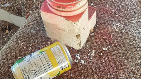 That Pink Fuzzy Feeling - 53a.jpg