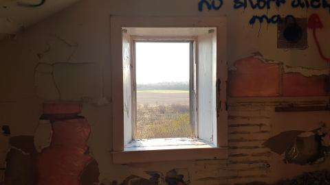 That Pink Fuzzy Feeling - 64.jpg