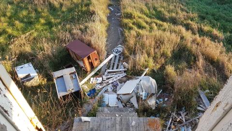 That Pink Fuzzy Feeling - 75.jpg