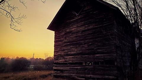 "Well, Ouija look at this place..." - aviary-image-1636424873989.jpeg