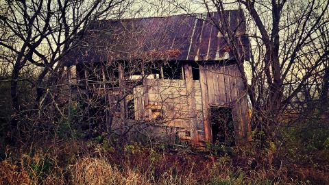 "Well, Ouija look at this place..." - aviary-image-1636424644197.jpeg