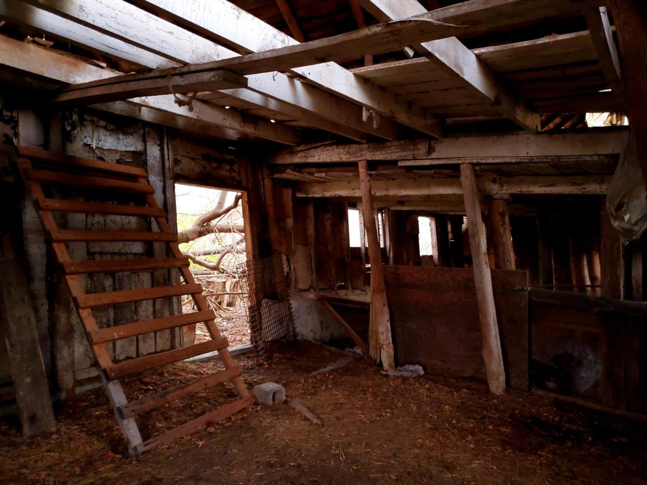 "Well, Ouija look at this place..." - 20211108_165415.jpg