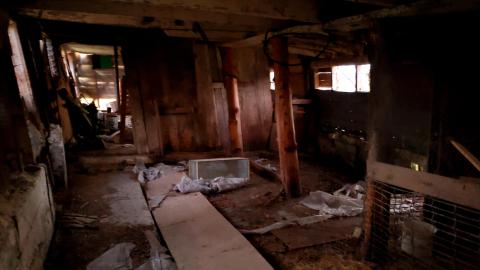 "Well, Ouija look at this place..." - 20211108_165428.jpg