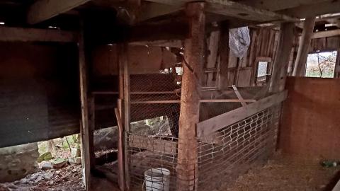 "Well, Ouija look at this place..." - 20211108_165443.jpg