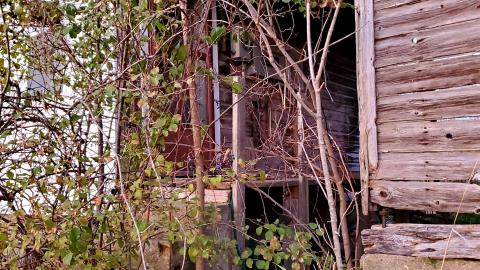 "Well, Ouija look at this place..." - 20211108_170231.jpg