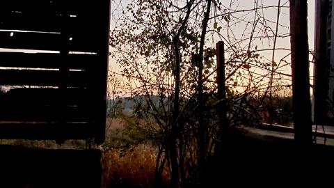 "Well, Ouija look at this place..." - 20211108_170321.jpg