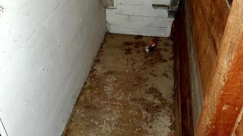 "Well, Ouija look at this place..." - 20211108_170415.jpg