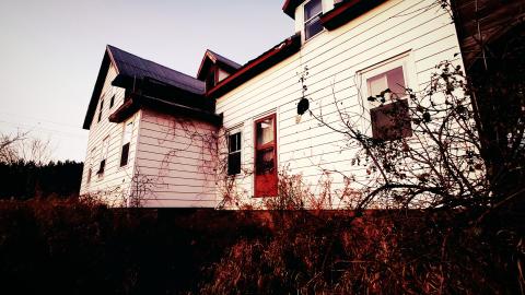 "Well, Ouija look at this place..." - aviary-image-1636545661610.jpeg