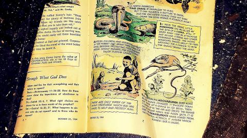 Photo from "Well, Ouija look at this place..."