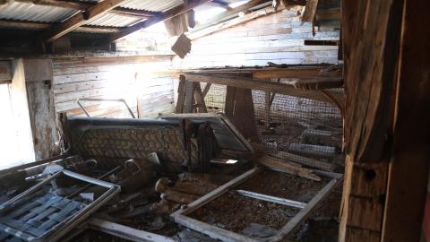 March 2021 visit - IMG_0295.JPG