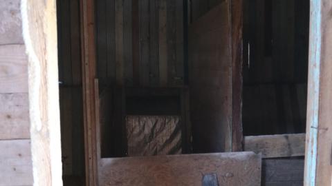 March 2021 visit - IMG_0297.JPG