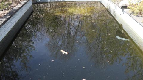 March 2021 visit - IMG_0312.JPG