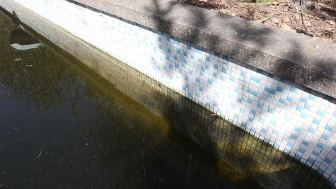 March 2021 visit - IMG_0313.JPG