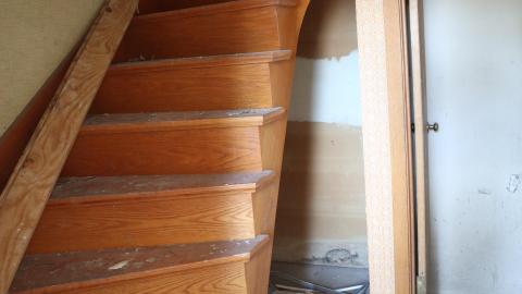 March 2021 visit - IMG_0314.JPG