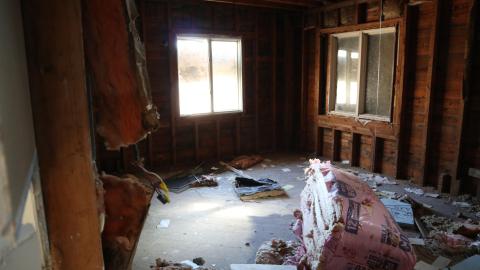 March 2021 visit - IMG_0319.JPG