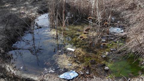 March 2021 visit - IMG_0307.JPG