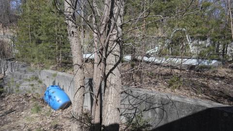 March 2021 visit - IMG_0309.JPG