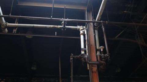 March 2021 visit - IMG_0289.JPG