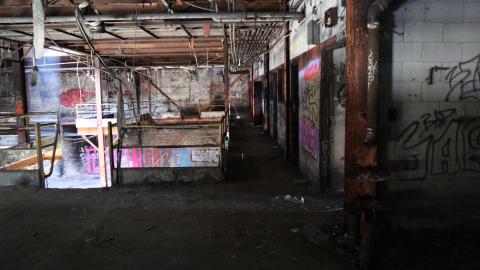 March 2021 visit - IMG_0292.JPG