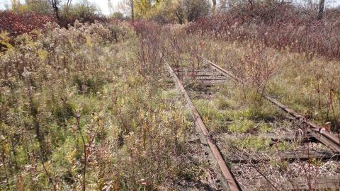 Abandoned spur line photo 4