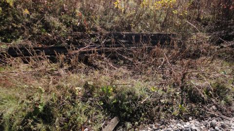 Finding the abandoned spur line - DSC00521.jpg