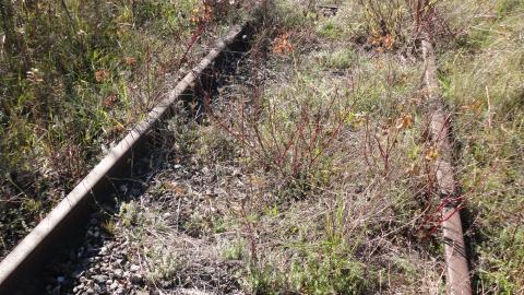 Abandoned spur line photo 2